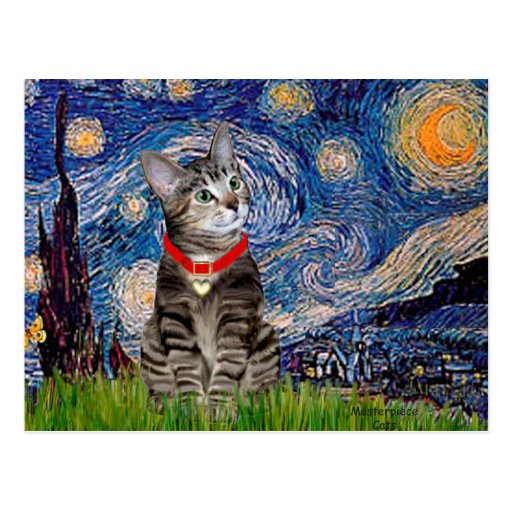 CAT (Tabby2) - Starry Night Post Card