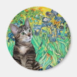 Cat (Tabby 2) - Irises Magnets