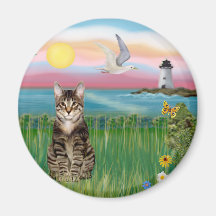 Cat (tabby) - Lighthouse Magnets