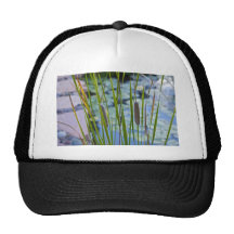 cat tails trucker hat