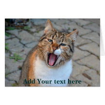 Cat Talking Greeting Card