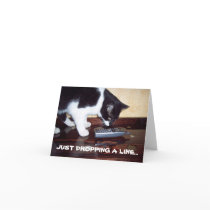 CAT THANK YOU CARD