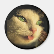 Cat Tongue Refrigerator Magnets