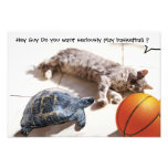 CAT, TORTUE ET BASKET-BALL  TIRAGE PHOTO