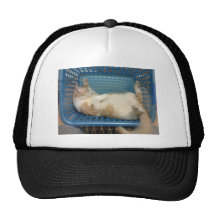 Cat Trucker Hat