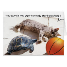 CAT ,TURTLE  AND BASKETBALL GREETING CARDS