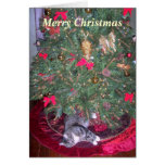 Cat Underneath The Tree Christmas Card
