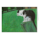 Cat Verse Card