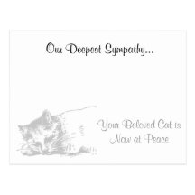 Cat Veterinarian Sympathy Postcard
