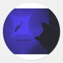 CAT VS GECKO MULTICOLORS ROUND STICKERS