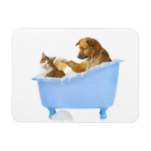 Cat Wash Flexible Magnets