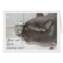 Cat wasting water  - Card