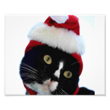 Cat wearing santa hat photograph, BW kitty