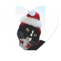 Cat wearing santa hat photograph, BW kitty Stickers