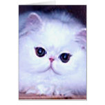 Cat White Persian Kitten Kitty Greeting Card