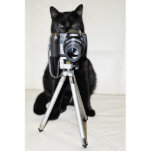 Cat with camera - sculpture de photo the photo en relief
