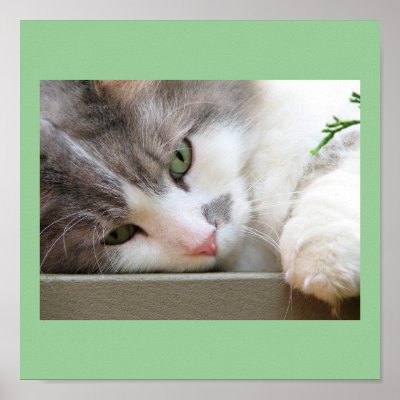 Cat with Green Eyes by sexycher