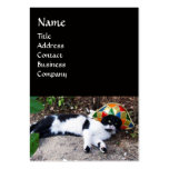 CAT WITH HARLEQUIN HAT AND MASQUERADE PARTY MASKS BUSINESS CARD TEMPLATE