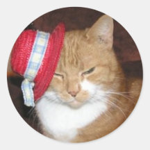 Cat with Hat Stickers