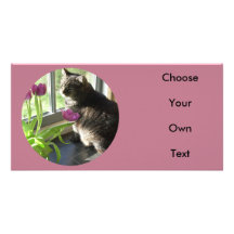 Cat with purple tulips-circle customized photo card