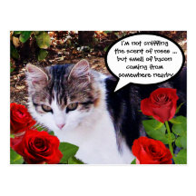 CAT WITH RED ROSES POST CARD