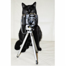 Cat with the camera -  Fotoskulptur