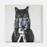 Cat with the camera fridge magnets