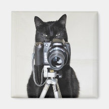 Cat with the camera fridge magnets