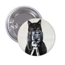 Cat with the camera pin