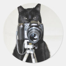 Cat with the camera round stickers
