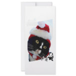 Cat with yellow eyes in Santa Hat head pic