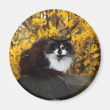 Cat With Yellow Flowers Fridge Magnet