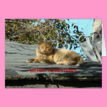 "Cata Claus", Merry Christmas cards