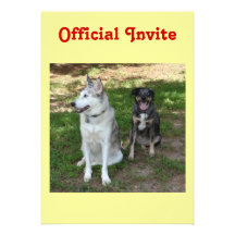 Catahoula and Ausky Dog Buddies Invitations