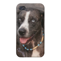 Catahoula Charley iPhone 4 Etuis