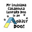 Catahoula Leopard Dog Agility Dog t-shirts