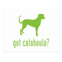 Catahoula Leopard Dog Postcard