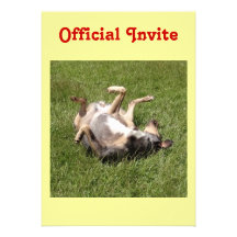 Catahoula Leopard Dog Rolling in Grass Invitation