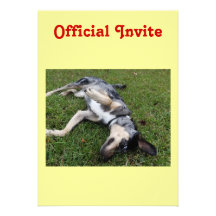 Catahoula Leopard Dog Rolling in Grass Personalized Invitation