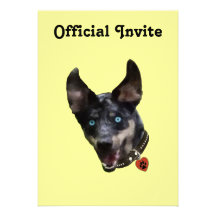 Catahoula Pawprint Dog Heart Personalized Announcements