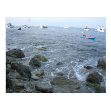 Catalina Island shore Postcards