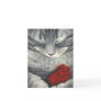 catandrose 001 cards