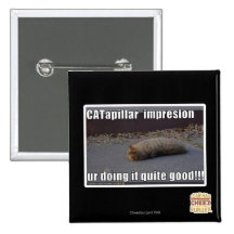 CATapillar Pinback Buttons