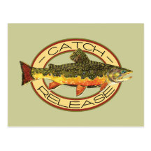 Catch and Release Fishing Post Cards