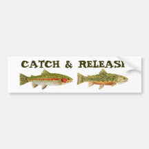Catch & Release Bumper Sticker