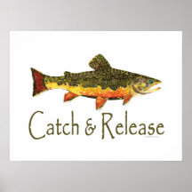 Catch & Release Trout Fishing Print
