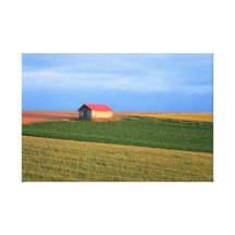 Catcher Scenery 10  Stretched Canvas Print