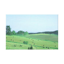 Catcher Scenery 11  Stretched Canvas Print