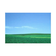 Catcher Scenery 12 Stretched Canvas Print