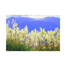 Catcher Scenery 15  Stretched Canvas Print